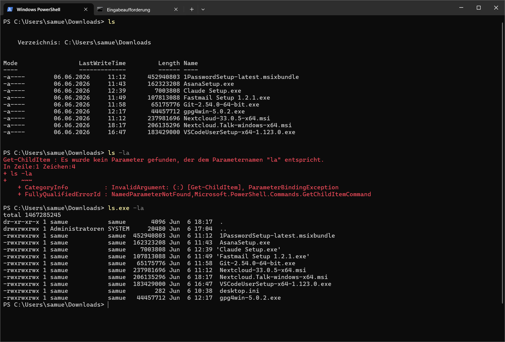 Bildschirmfoto vom ls Befehl in der Powershell