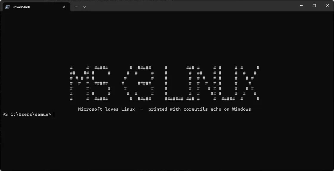 ASCII Art MS <3 Linux