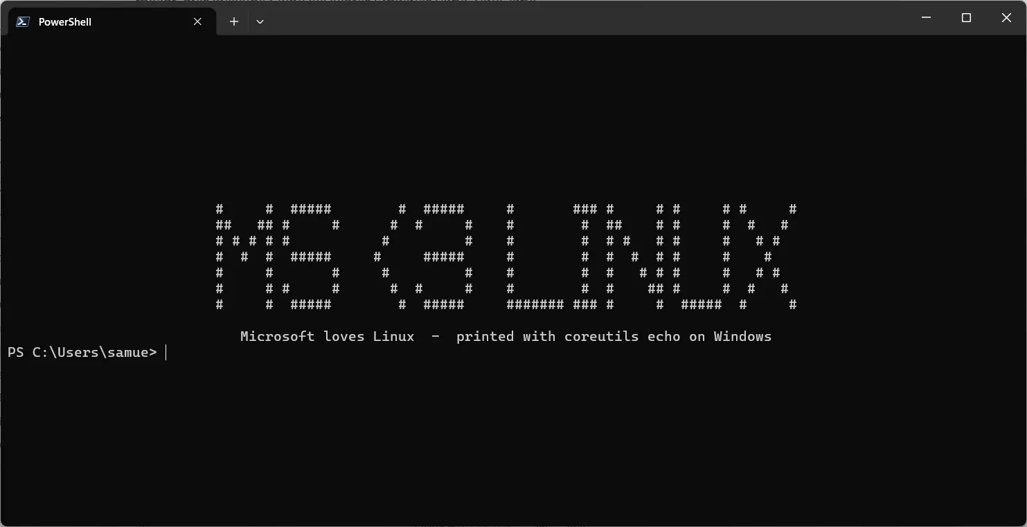ASCII Art MS <3 Linux