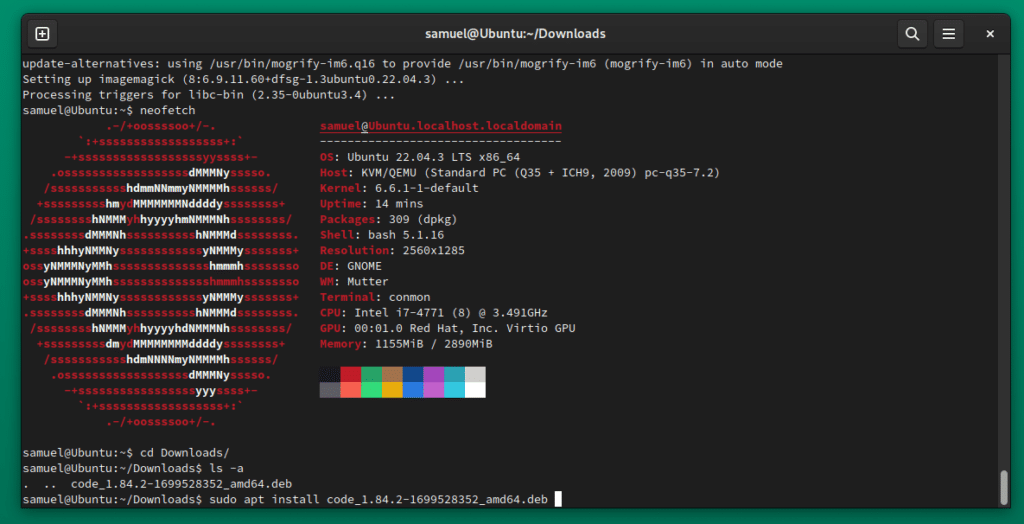 Gnome Temrinal zeigt die Neofetch Ausgabe vom Ubuntu in der Distrobox